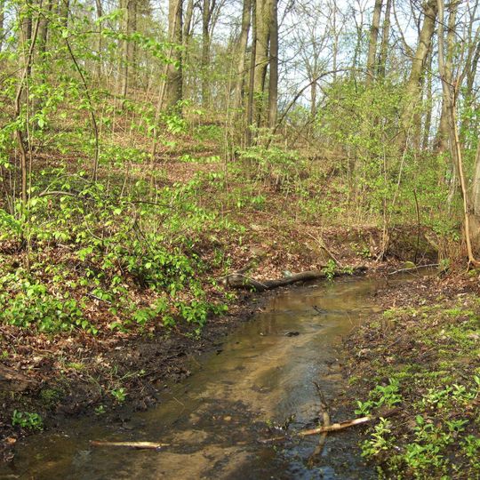 Augalų rūšių, įrašytų į Raudonąją knygą, augavietė