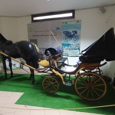 Museo della Biodiversità - CITES