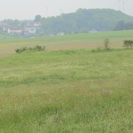 Ehemaliger Steinbruch NW von Kirchgattendorf