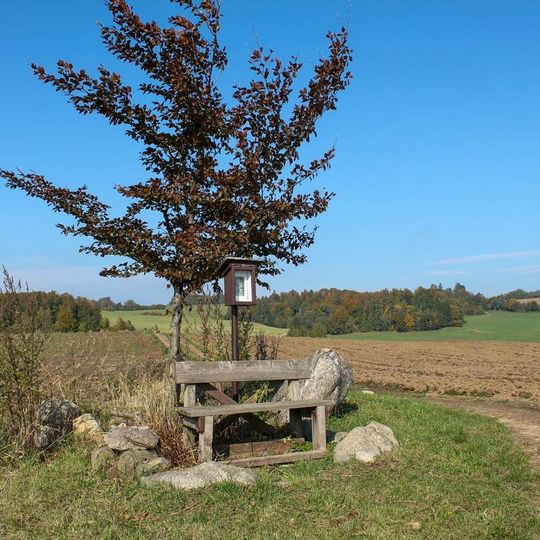 Obrázek severně od Jedlí mezi poli