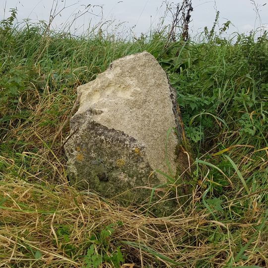 Milestone On Sunnyhill Down