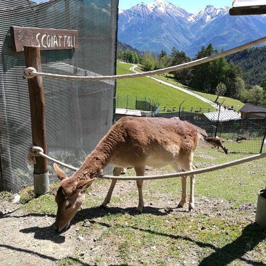 Chevrere Animal Park Mont Avic