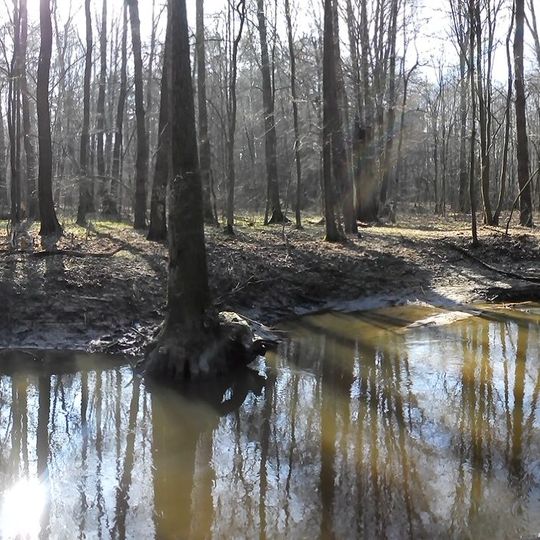 Nature reserve Puszcza Słupecka