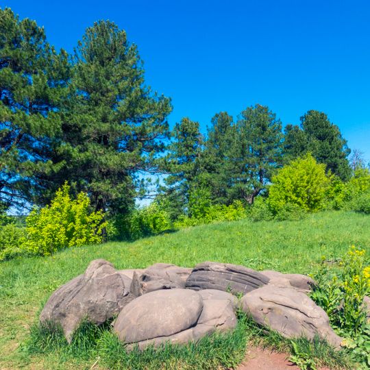 Подчуршинское городище