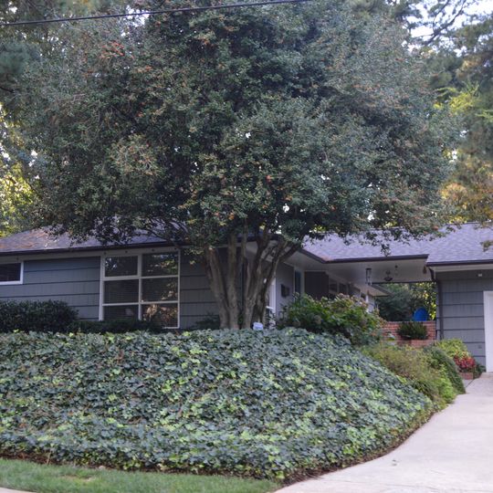 Wachovia Building Company Contemporary Ranch House