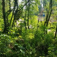 Belgium-Netherlands boundary stone no. 24a