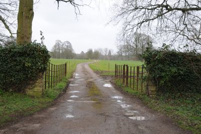 Immagine alternativa