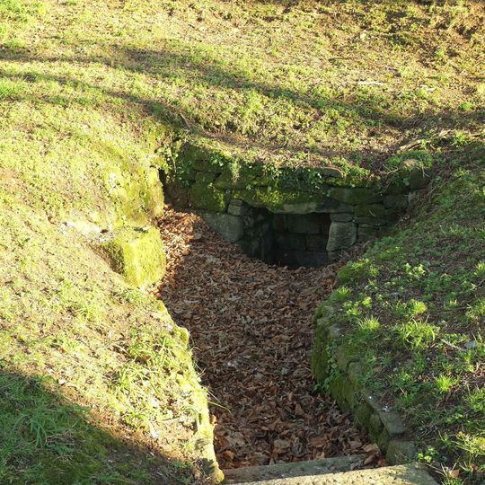 Holy Well To South Of The Church Of St Michael