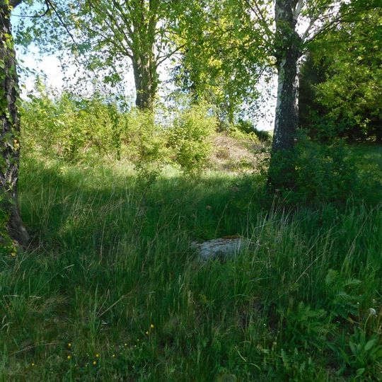 Pomník padlým v Čichalově