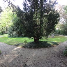 Ambtmanstuin: diepe tuin