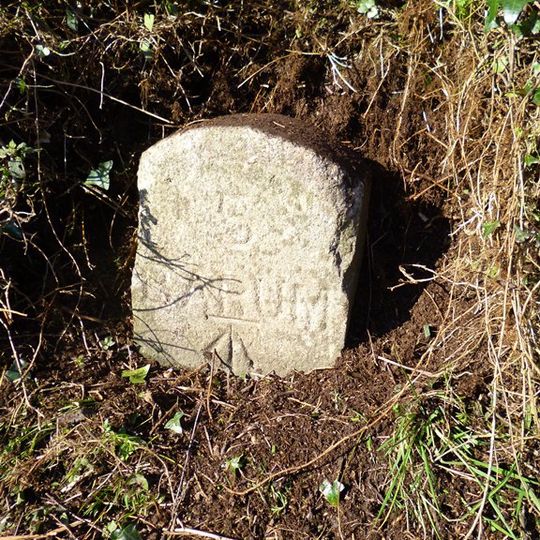 Milestone, 100m W of drives to Barn Owl and Pyewell Farm