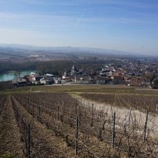 Coteaux de Mareuil-sur-Aÿ