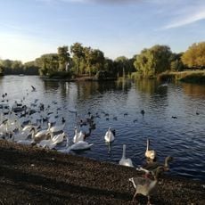 Harrow Lodge Park