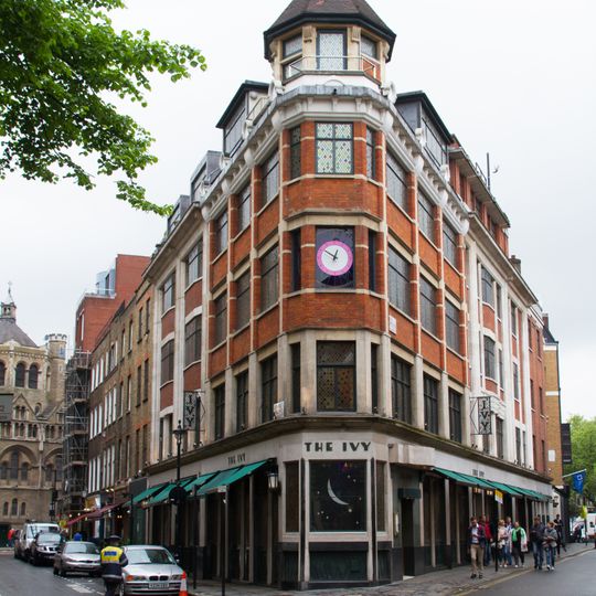 The Ivy