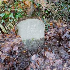 Milestone, S of Riversmead, half mile N of Snapper, on riverside road