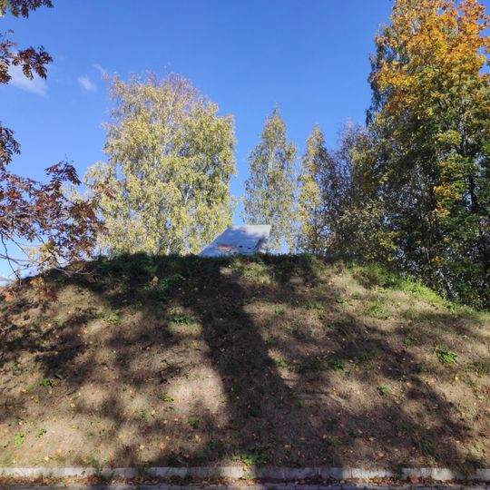 Могила неизвестного советского лётчика