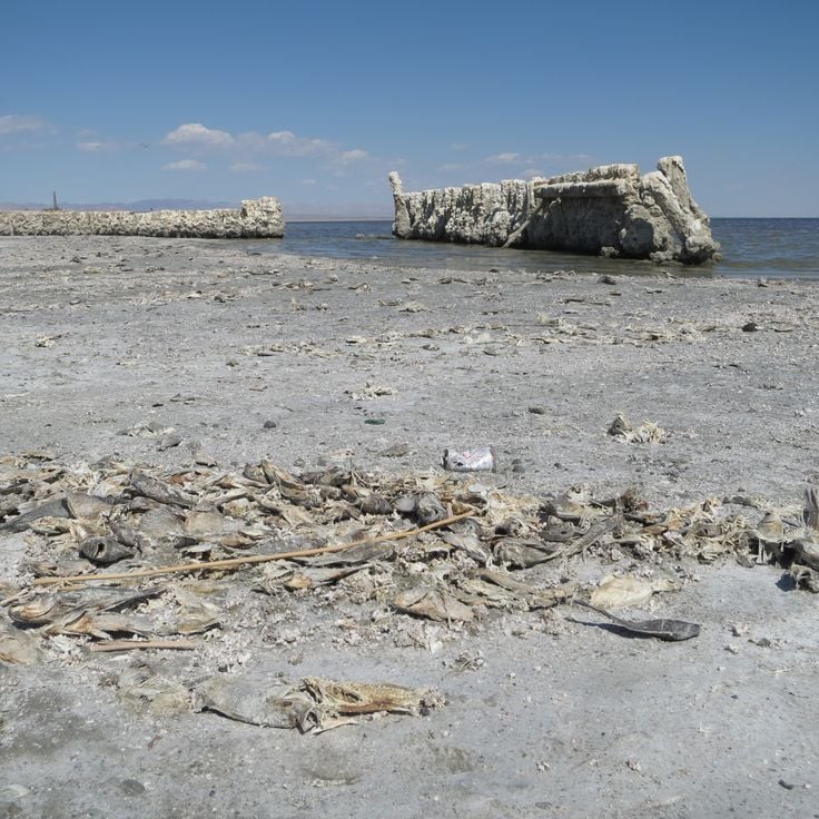 Bombay Beach