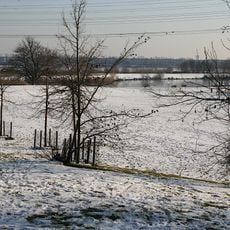 Parc Georges-Brassens