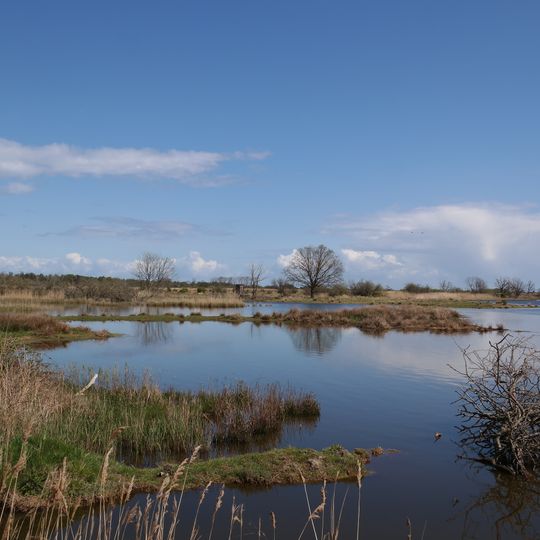 Küstenbereiche Flensburger Förde von Flensburg bis Geltinger Birk