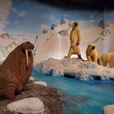 The Museum at Rolling Hills Zoo