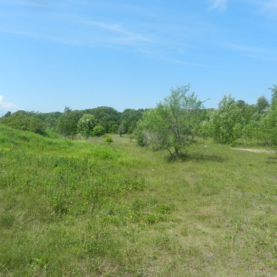 Силинский лес