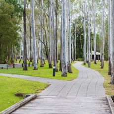 Tondoon Botanic Gardens