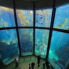Monterey Bay Aquarium