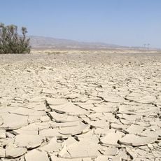 Riserva della biosfera di Repetek