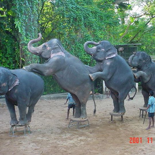 National Zoological Gardens of Sri Lanka