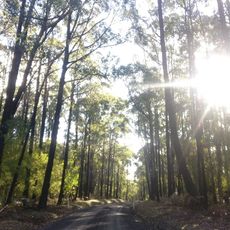 Moondarra State Park