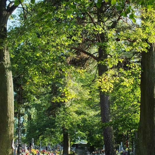 Cmentarz parafialny w Leszczynach