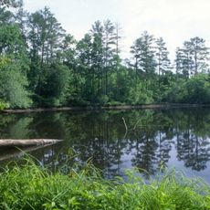 Uwharrie National Forest