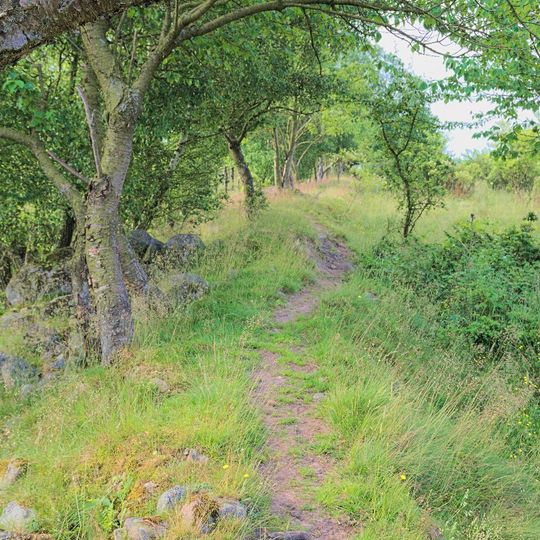 Humlarödshus fälad