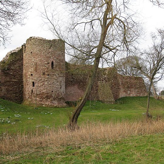Ruins Of Wilton Castle And House Attached To South