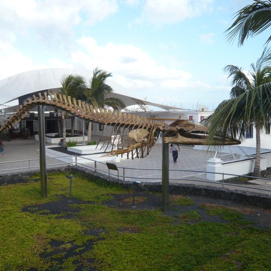 Museo de Cetáceos de Canarias