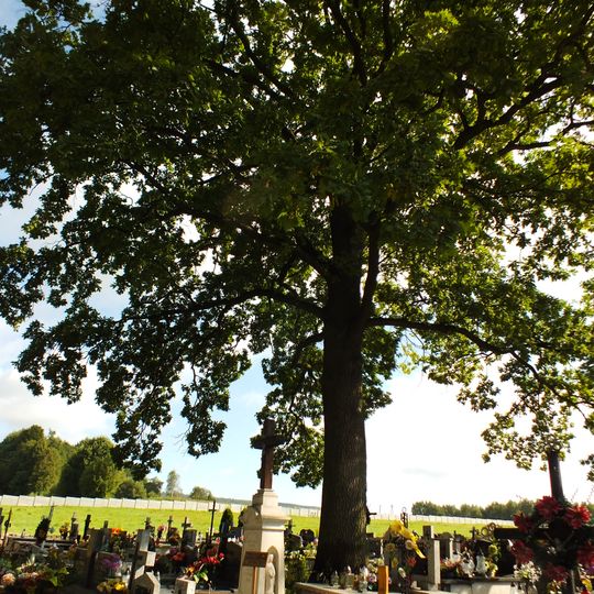 Cmentarz parafialny w Bielinach