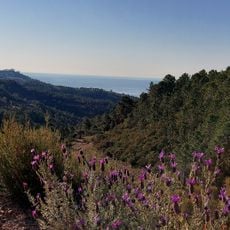 Col du Trayas