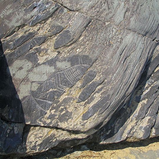 Tomskaya Pisanitsa Museum