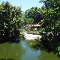 Kuranda Koala Gardens