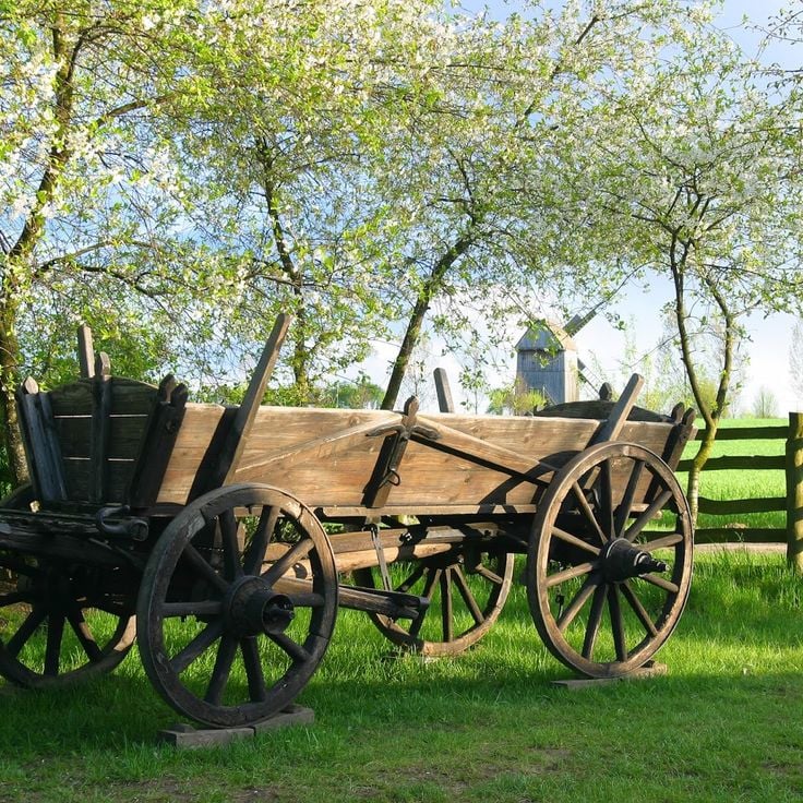 Museum of the Mazovian Village in Sierpc