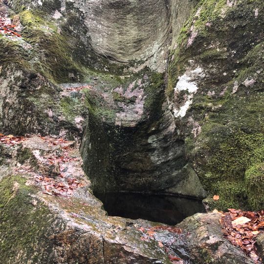 2003644 Tararps jättegrytfält