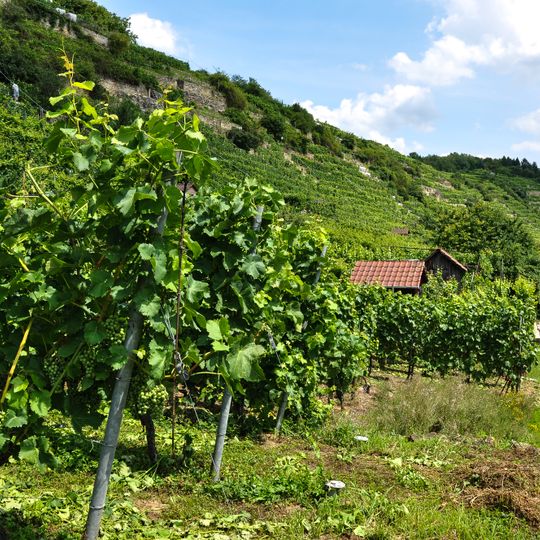 Neckartal zwischen Benningen und Großingersheim mit angrenzenden Gebieten