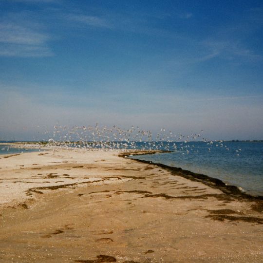 Berdiansk spit