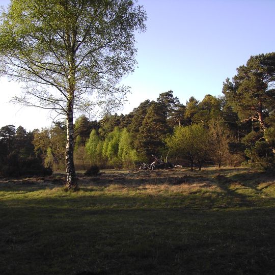 Feilenmoos mit Nöttinger Viehweide