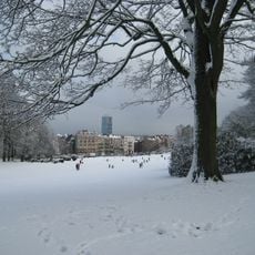 Forest Park