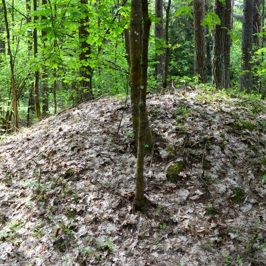 Category:Pabarė tumuli