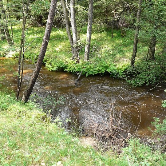Rezerwat przyrody Nad Młyńską Strugą