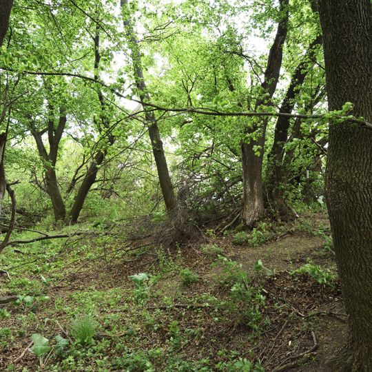 Teilbereich der Kuruzzenschanze in Markthof