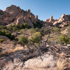 Texas Canyon