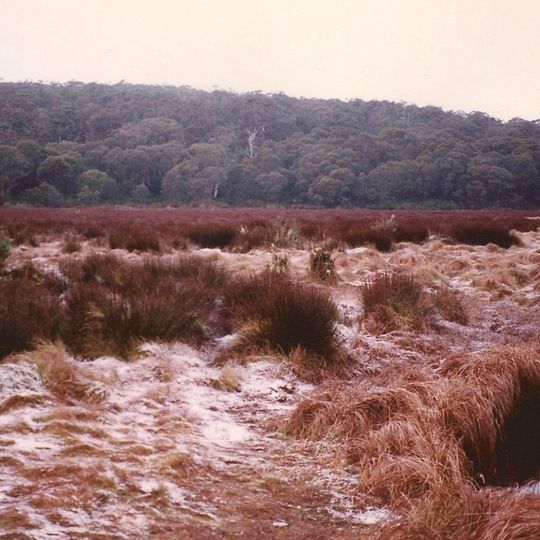 Barrington Tops State Conservation Area
